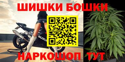 прущие грибы Лесосибирск