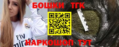прущие грибы Лесосибирск